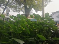 -無用生活空间(北京店)