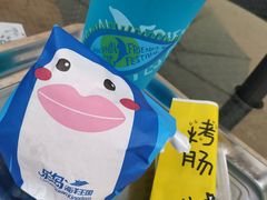 -秦皇岛乐岛海洋王国