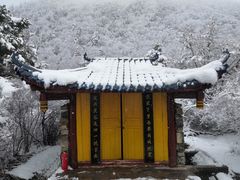 -黄龙山原始森林景区