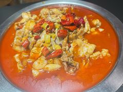 -美蛙四季(亦庄店)