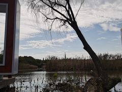 -同里国家湿地公园