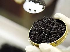 -锅色天香(巴士底区店)