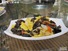-绿色时代大酒店