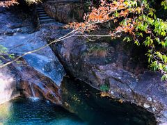 -花岩国家森林公园