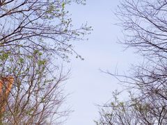 -龙美术馆(西岸馆)