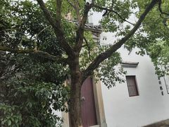 -梦姑塘文化公园