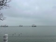 -贡湖湾湿地公园