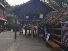 -野象谷景区