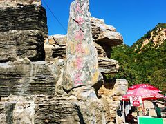 -大岭沟猕猴桃谷风景区