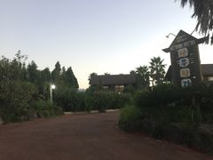 -龙头岩(Dragon Head Rock)