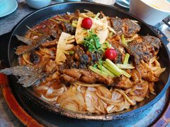 -老板恋上鱼(恒隆广场店)