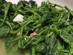 -香港狮子山下·明星粤菜餐厅(北苑店)