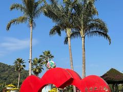 -东南花都花博园