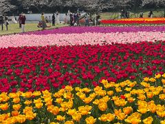 -苏州上方山国家森林公园