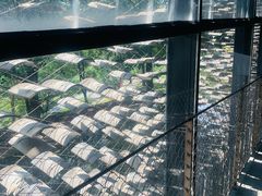 -中国美术学院象山校区-民艺博物馆