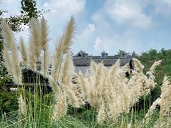 -黄陂区野村谷景区