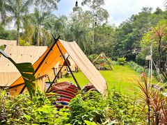 -芭厘·农庄老字号.电饭煲五指毛桃焗鸡