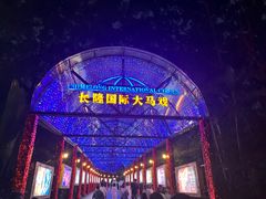 -广州长隆国际大马戏