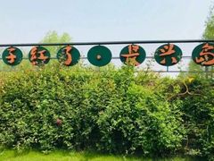 -前小桔亲子创意农场·草莓采摘·露营烧烤