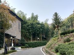 -安吉涵田度假村·水榭居中餐厅