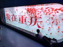 -重庆欢乐海底世界