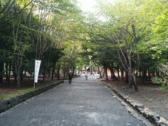 -北海道神宫