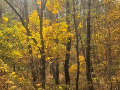 -帽儿山国家森林公园