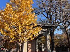 -护国法轮寺