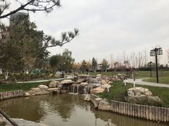 -西海子公园