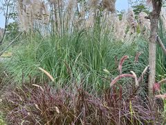 -中国天府农业博览园