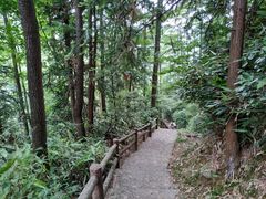 -藏龙百瀑风景区