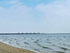 -碧海金沙
