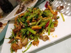 -金蝉食府(维吉奥广场店)