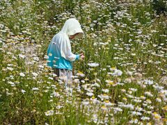 -汉长安城未央宫国家考古遗址公园