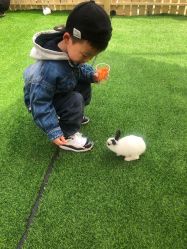 -萌宠亲子动物乐园(槐房万达店)