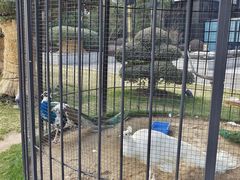 -阿纳迪酒店·秘境西餐厅