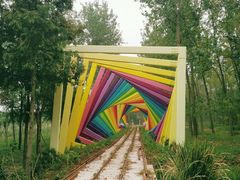 -合肥滨湖国家森林公园