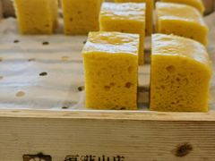-广州百花山庄度假村(增城万达广场店)