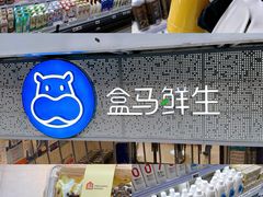 -盒马鲜生(双清路店)