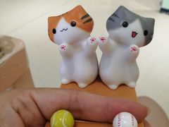 -藏猫猫咖啡主题馆(中央大道店)