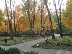 -玲珑塔公园