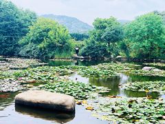 -白马涧龙池景区