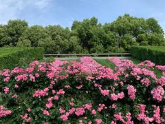 -上海科技馆(地铁站)