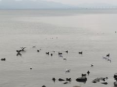 -深圳湾公园(南山区)