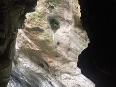 -太鲁阁公园