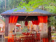 -二荆条·蜀鲜汇城市森林火锅