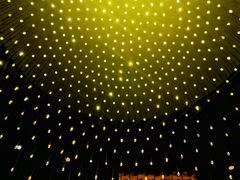 -君悦酒店·1881·北京烤鸭