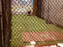 -洛克公园(苏州中心商场)