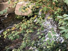 -藏龙百瀑风景区