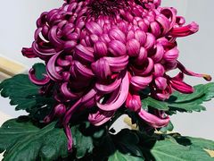 -汇龙潭